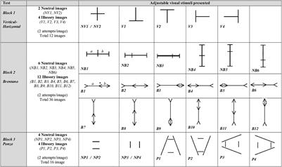 Study of Geometric Illusory Visual Perception – A New Perspective in the Functional Evaluation of Children With Strabismus